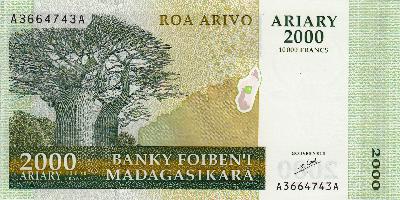 Beschrijving achterzijde: TREE